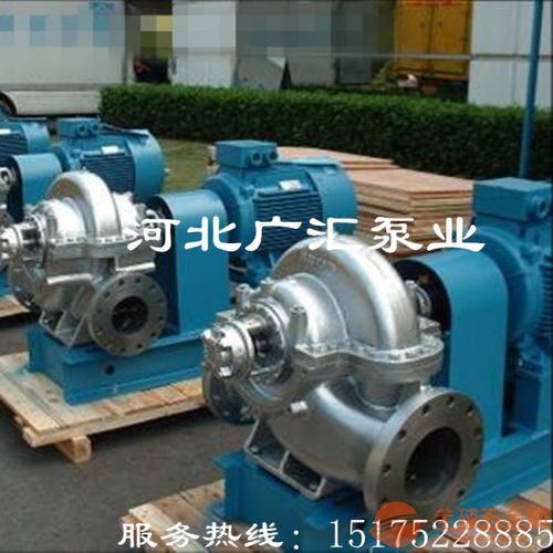 白山250S 39雙吸泵中開式全方位質檢流程，助力水務環保行業高效運行